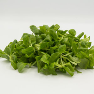 189 Nüsslisalat
