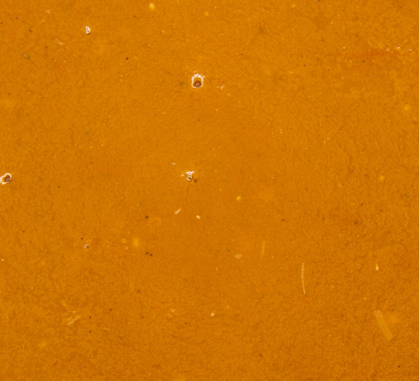 220 Rassige Tomatensuppe (1kg)
